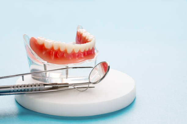 Best Preventive Dentistry  in Port Lavaca, TX